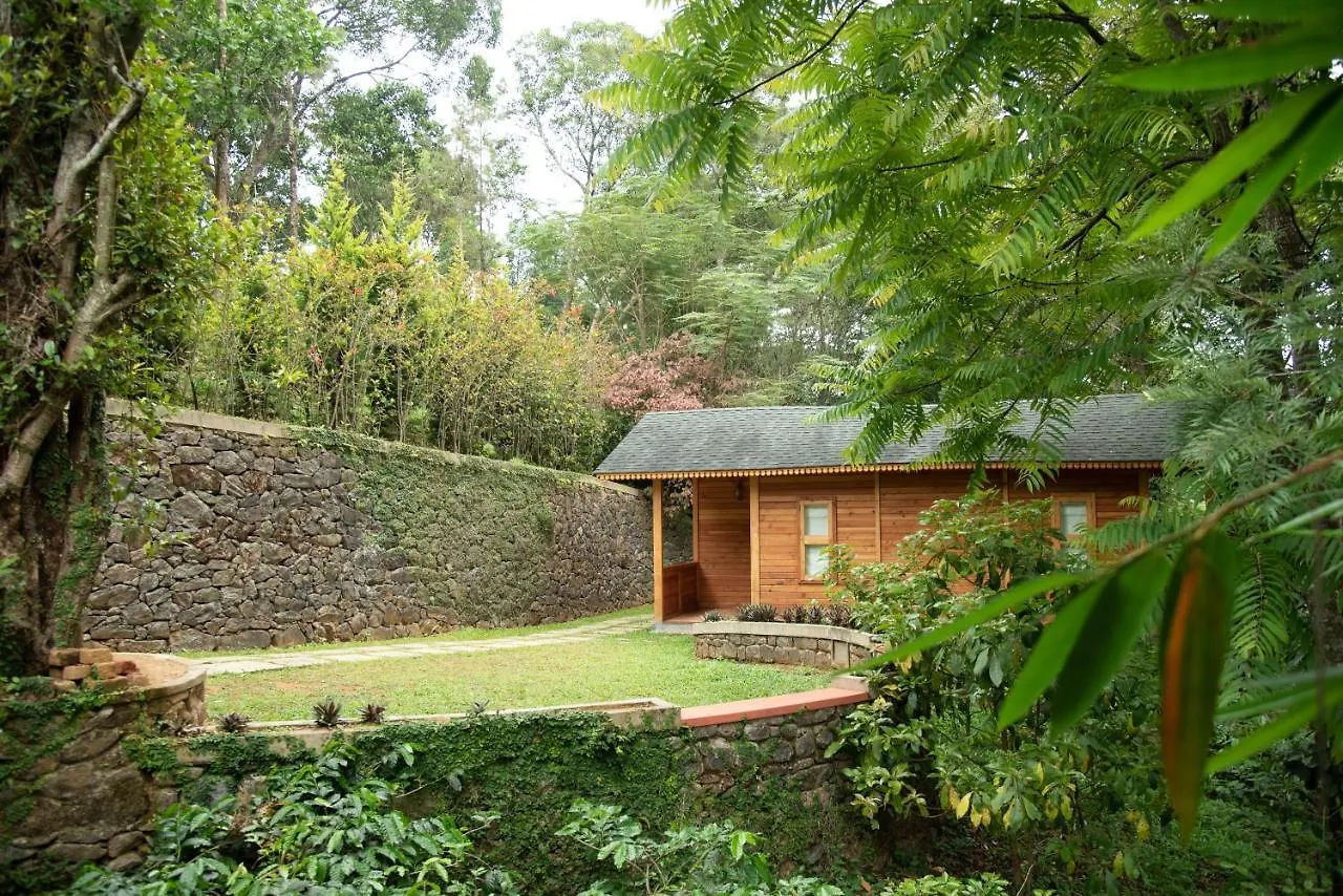 Misty Mountain Experience Hotel Pirmed