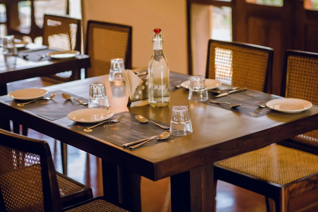 Misty Mountain Experience Hotel Pirmed
