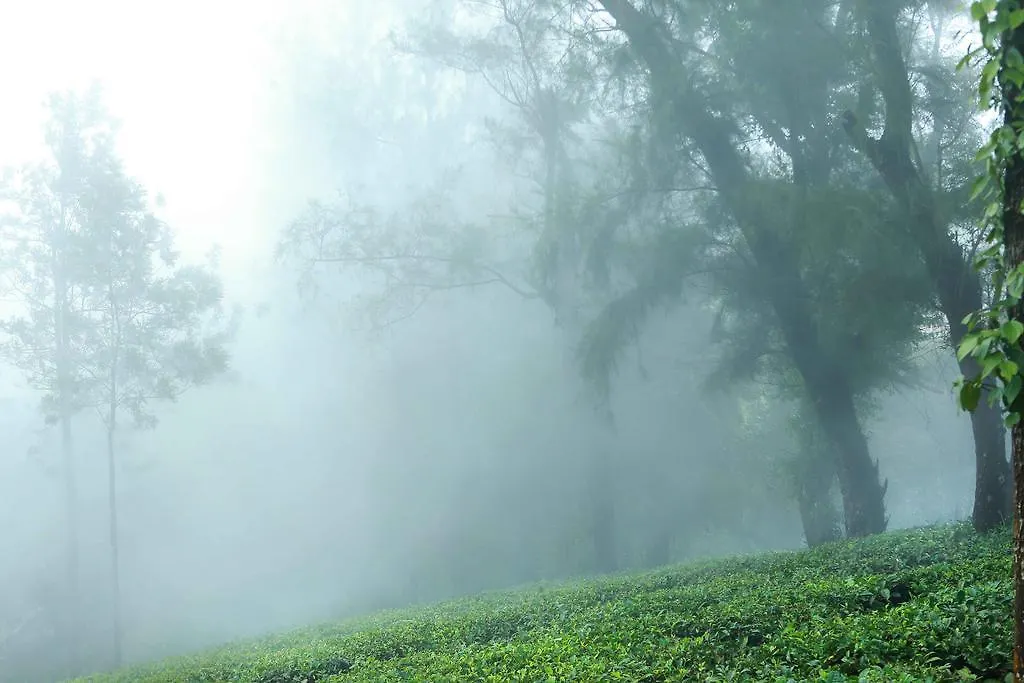 Misty Mountain Experience Hotel Pirmed