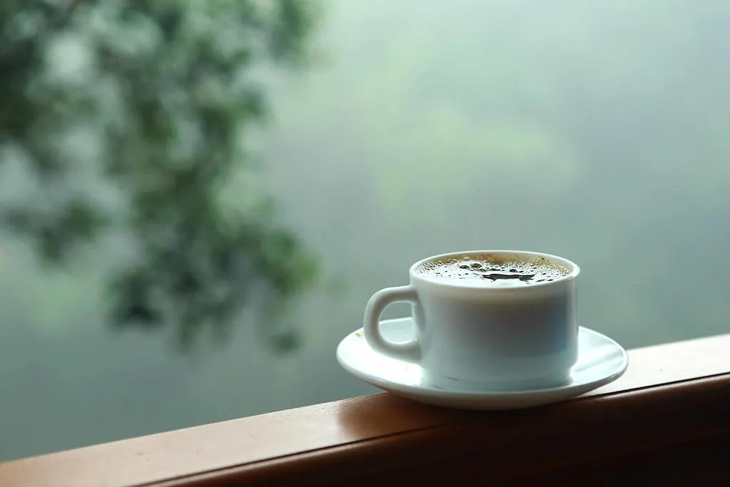 Misty Mountain Experience India
