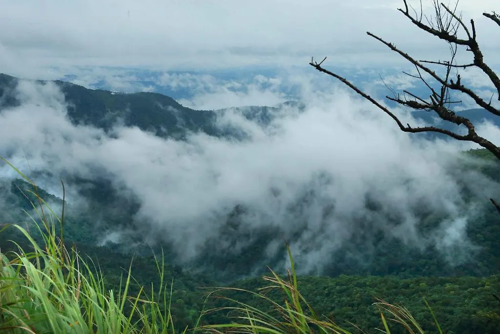 Misty Mountain Experience Pirmed