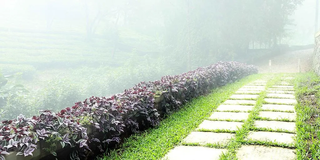Misty Mountain Experience By Perfect Stays 3*, Pīrmed