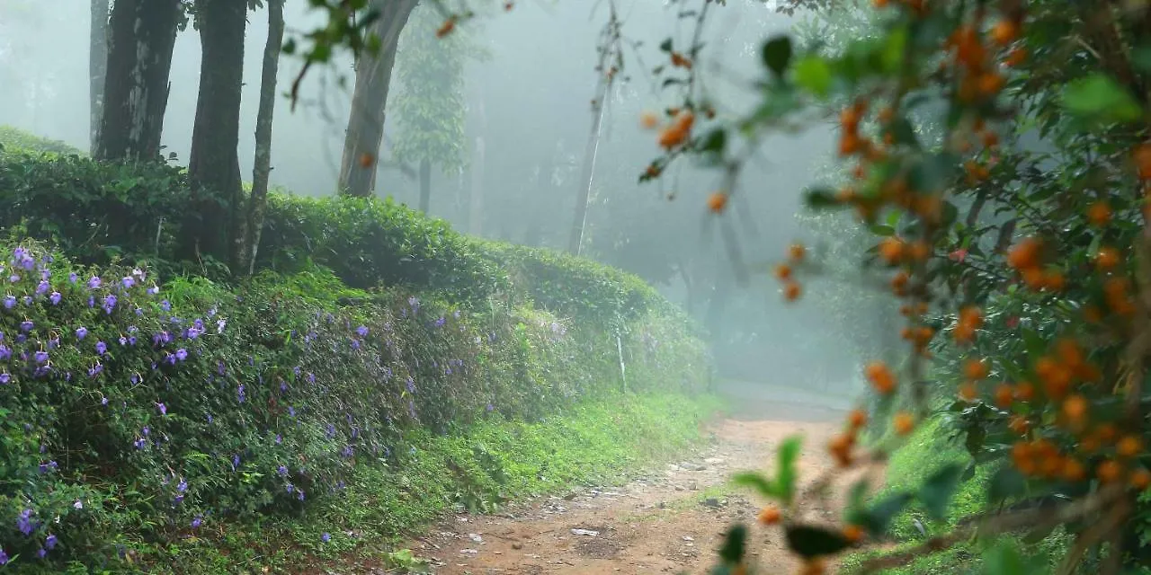 Misty Mountain Experience