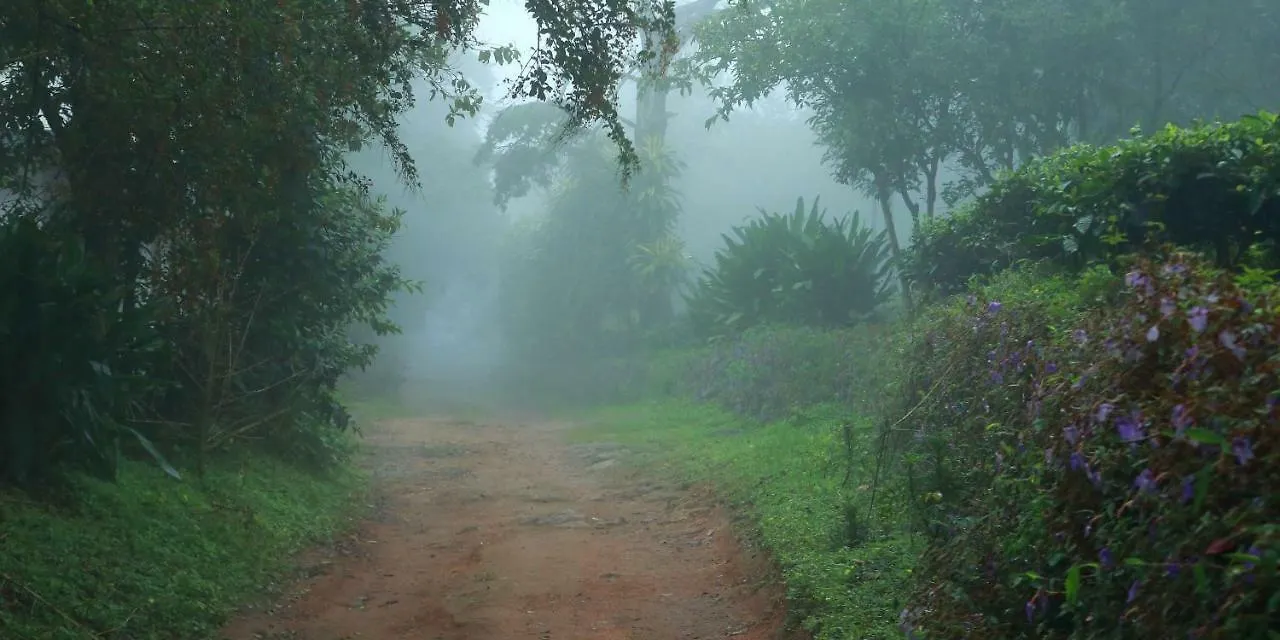 Hotel Misty Mountain Experience