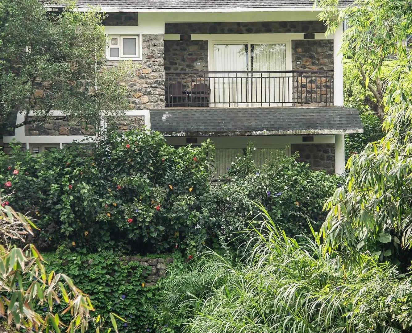 Misty Mountain Experience By Perfect Stays Hotel