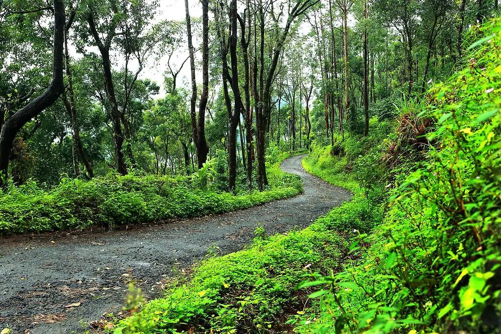 Misty Mountain Experience By Perfect Stays 3*, Pirmed India