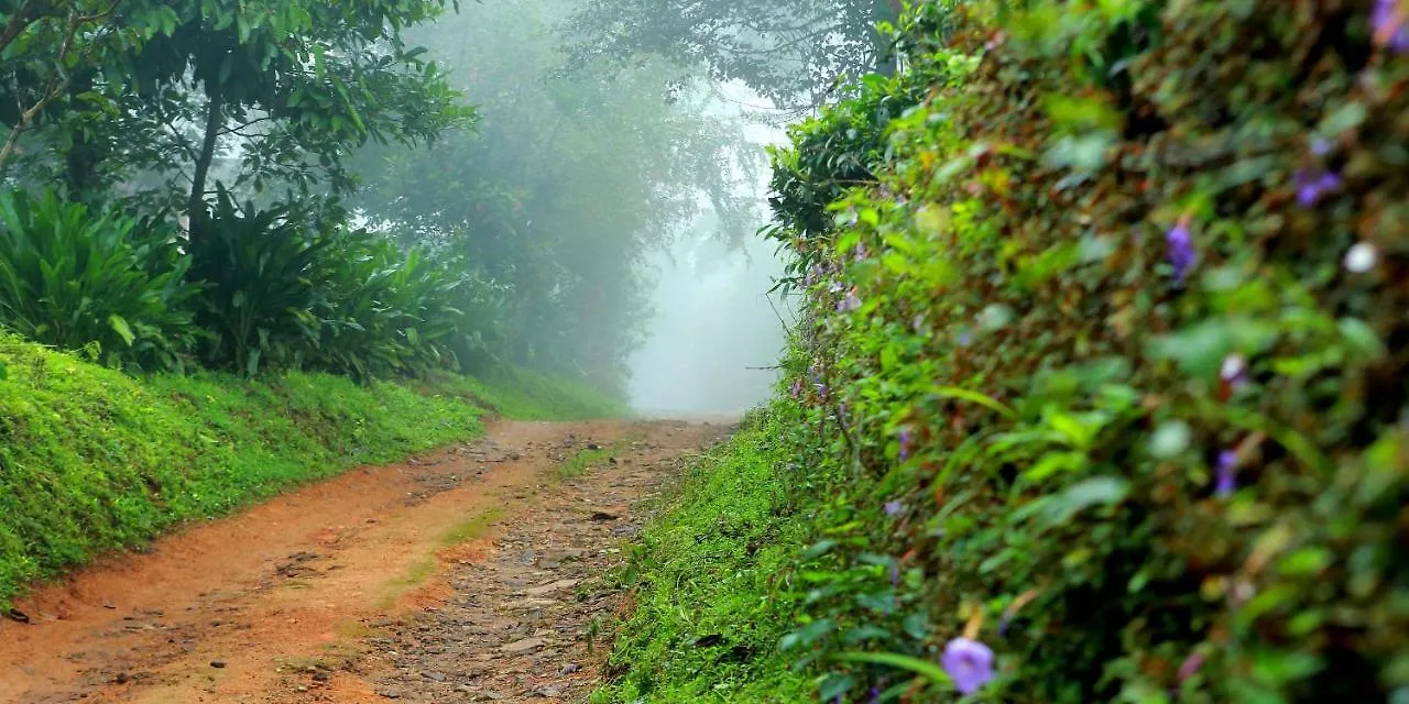 Misty Mountain Experience By Perfect Stays Hotel Pirmed